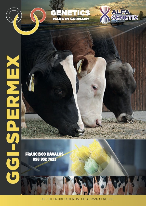 Portada del catálogo GGI-SPERMEX